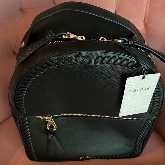 CALPAK backpack - Picture 2 of 7